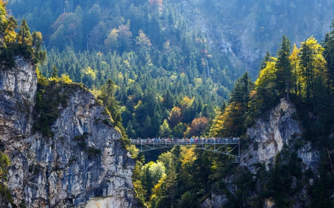 Complements and Alternatives to Charitable Remainder Trusts | Tourists walking over a suspension bridge