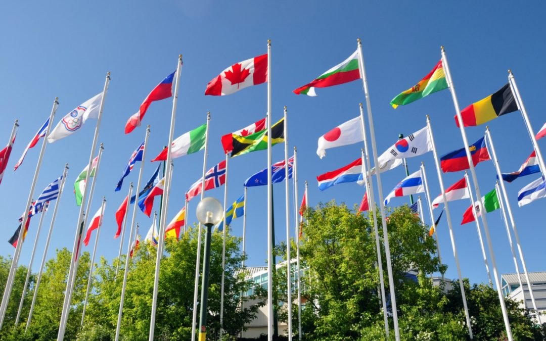 The Case for International Investing | International flags flying together
